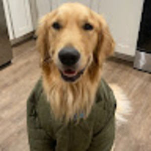 Meet your Posher, Sadie